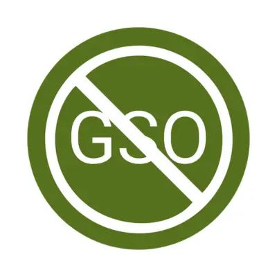 Brez GSO